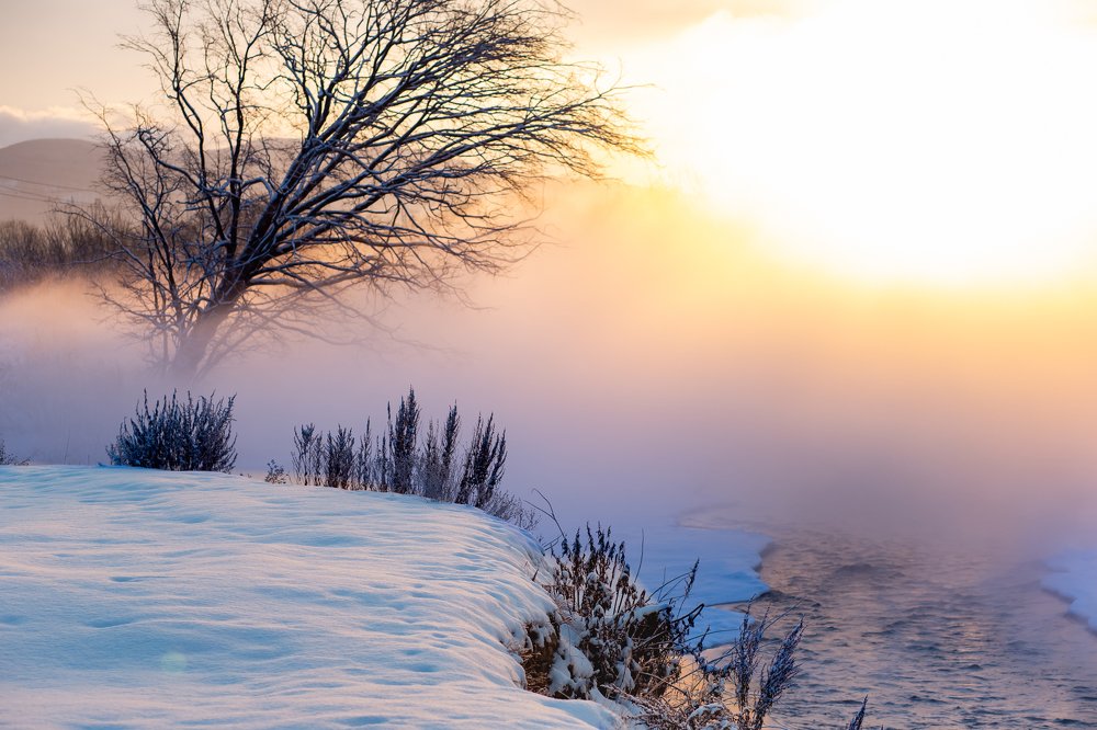 Фотография автора Артур Петросян