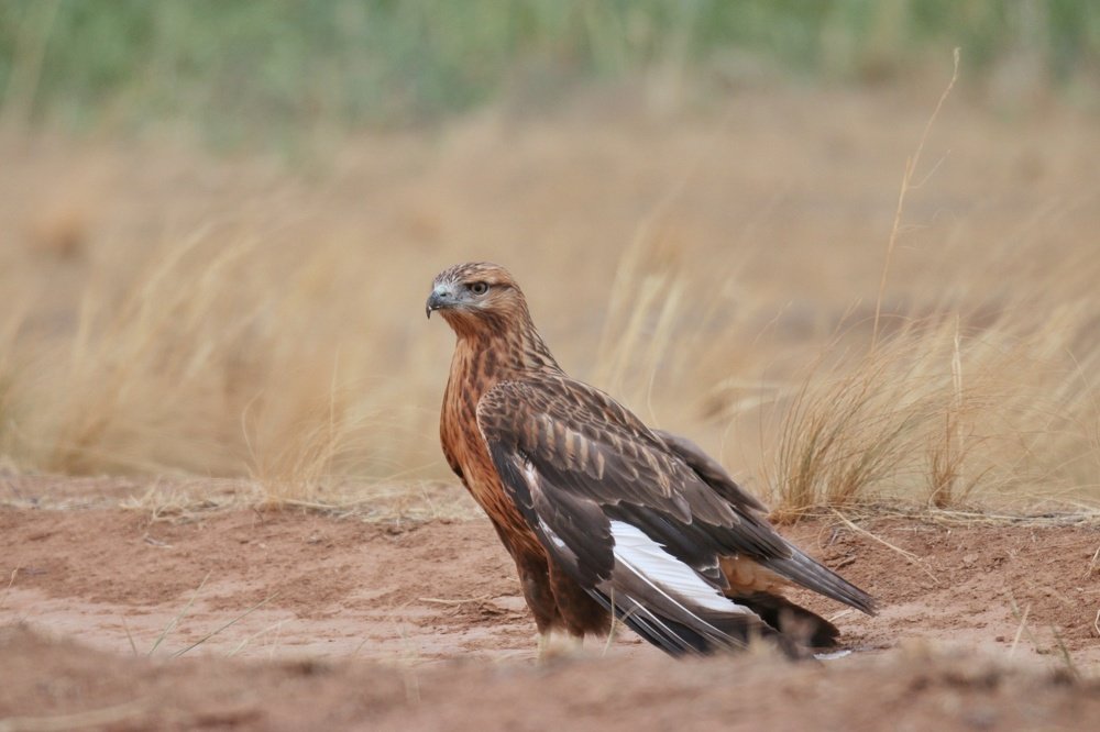 Photograph by Maria Tripoten