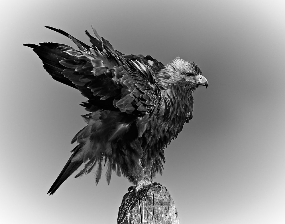 Photograph by Vasilii Medvedev