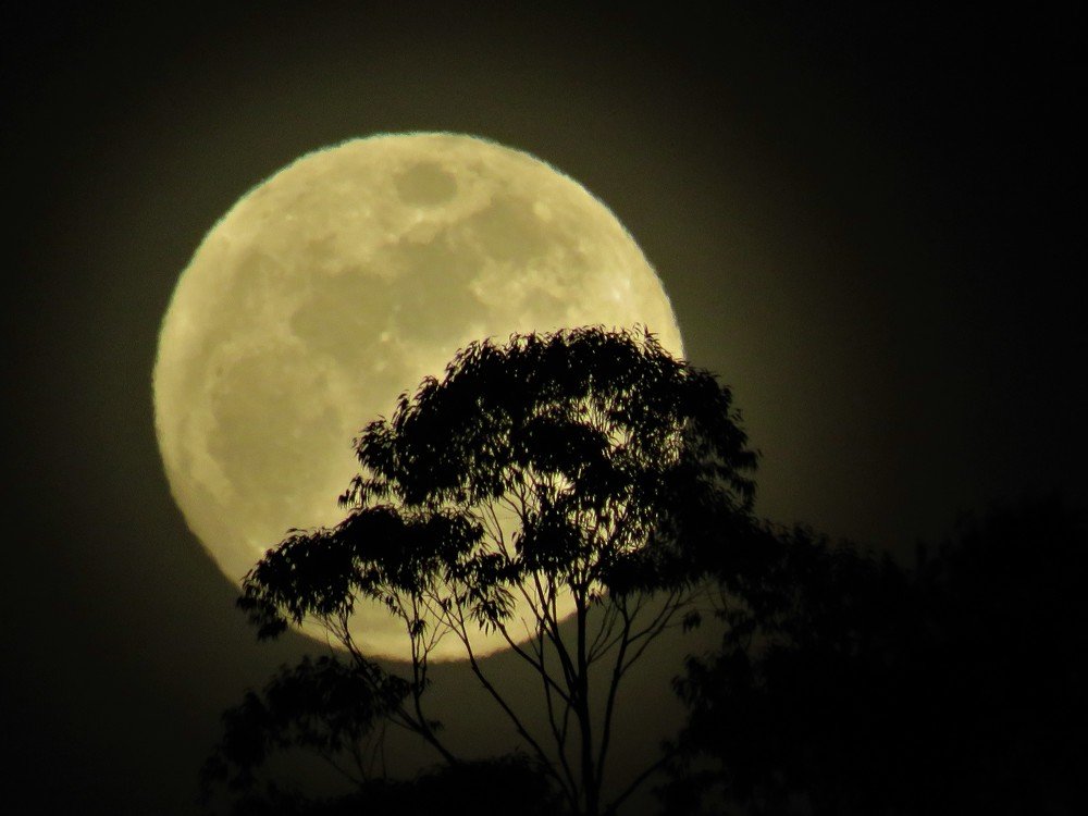 Photograph by Carlos Alfredo López Garcés