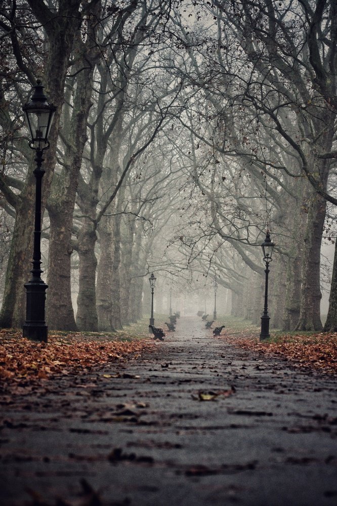 Photograph by Adrian Oprea