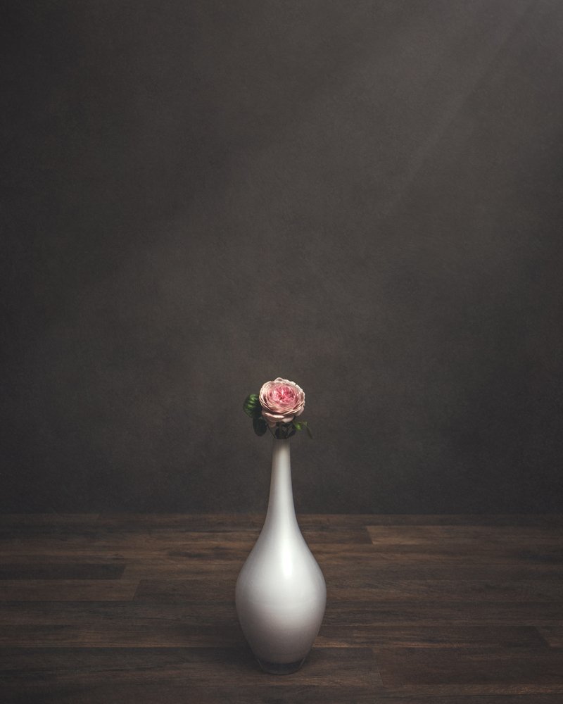 Photograph by Holly Lund