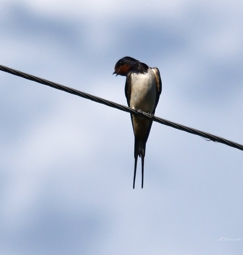 Photograph by Илья Сандлер