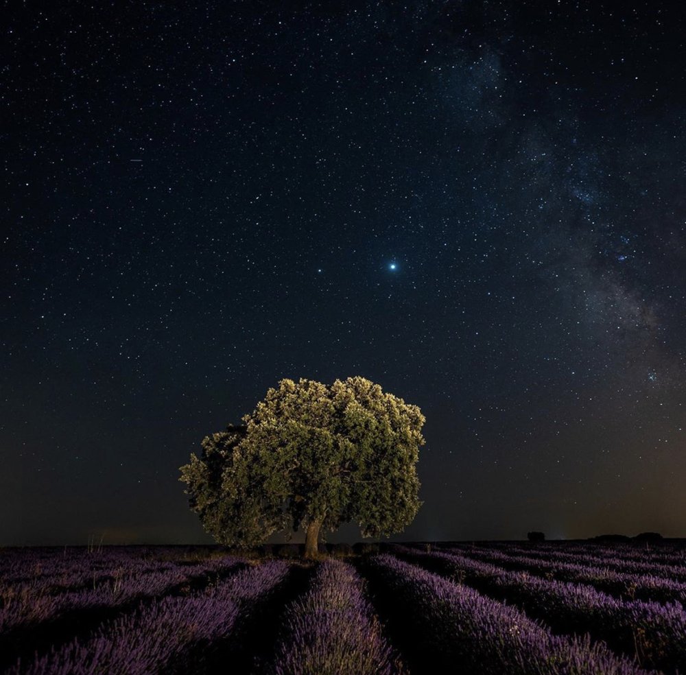 Photograph by Nguyen Thai