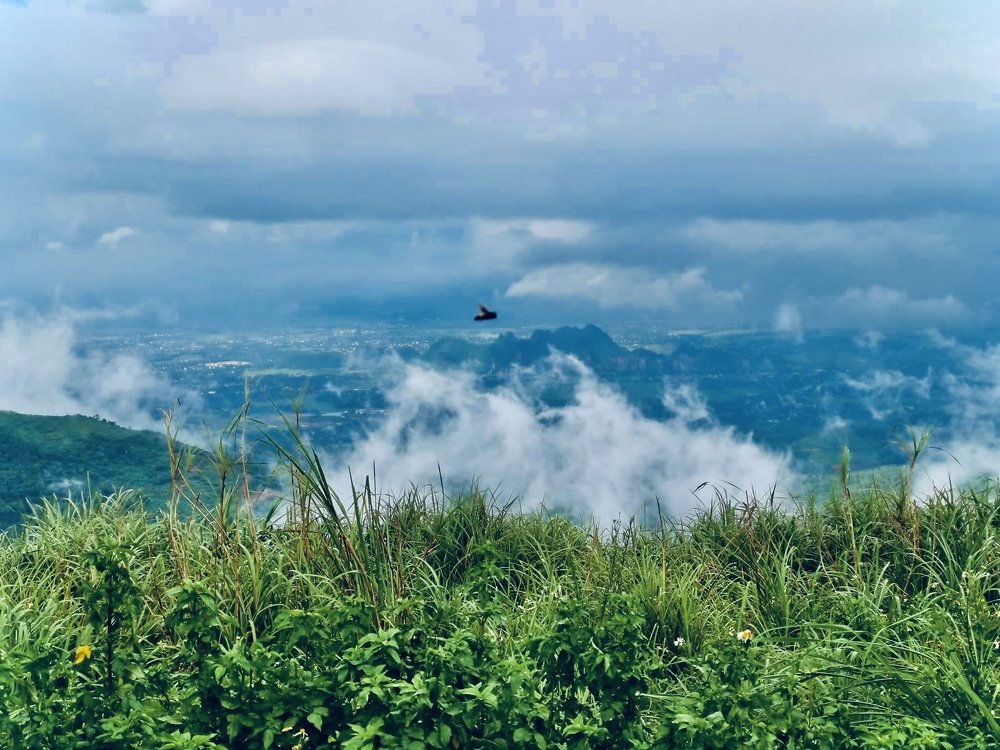 Photograph by Nguyen Thai