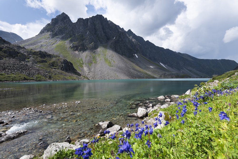 Photograph by Елена Вторушина