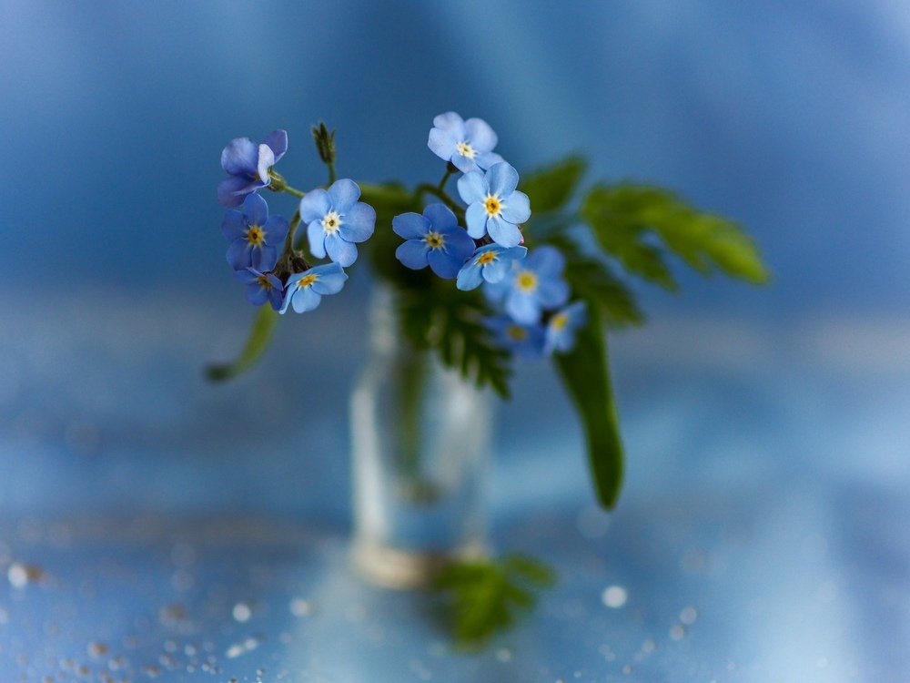 Photograph by Марина Брыдня