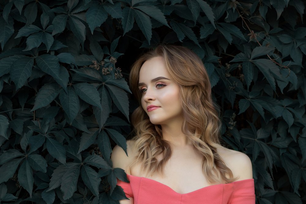 Фотография автора Елена Ельшина