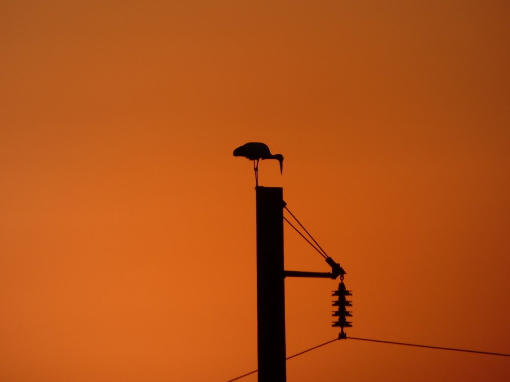 Photograph by Шитова Ольга