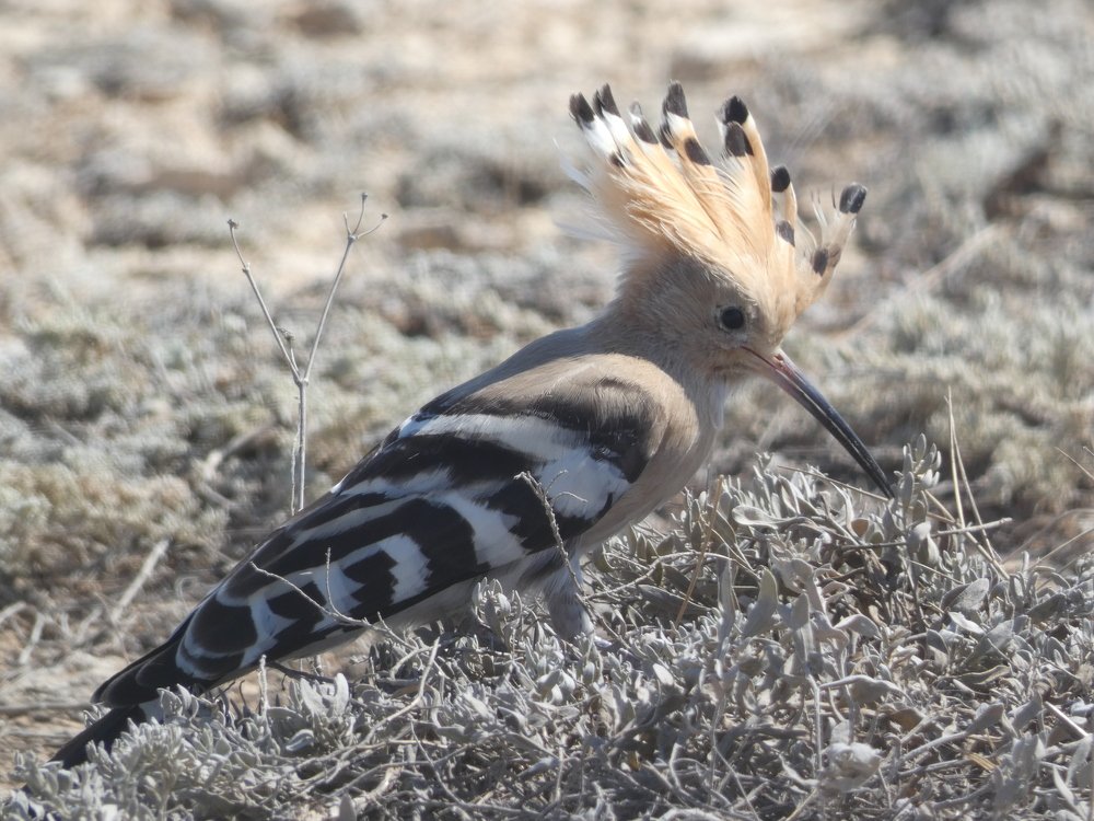 Photograph by Шитова Ольга