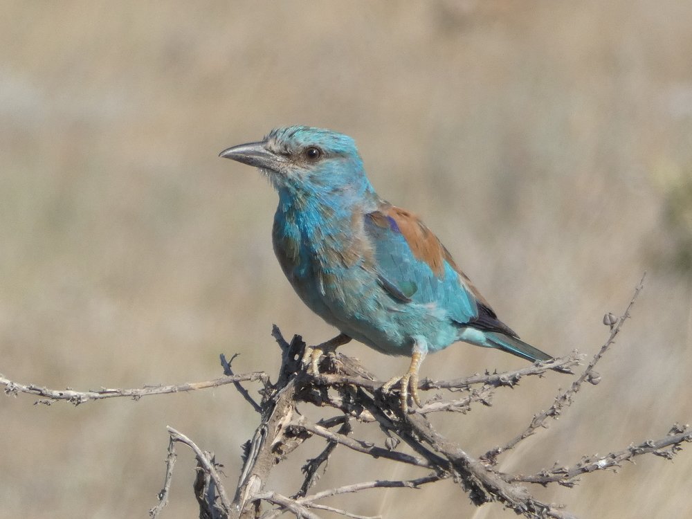 Photograph by Шитова Ольга