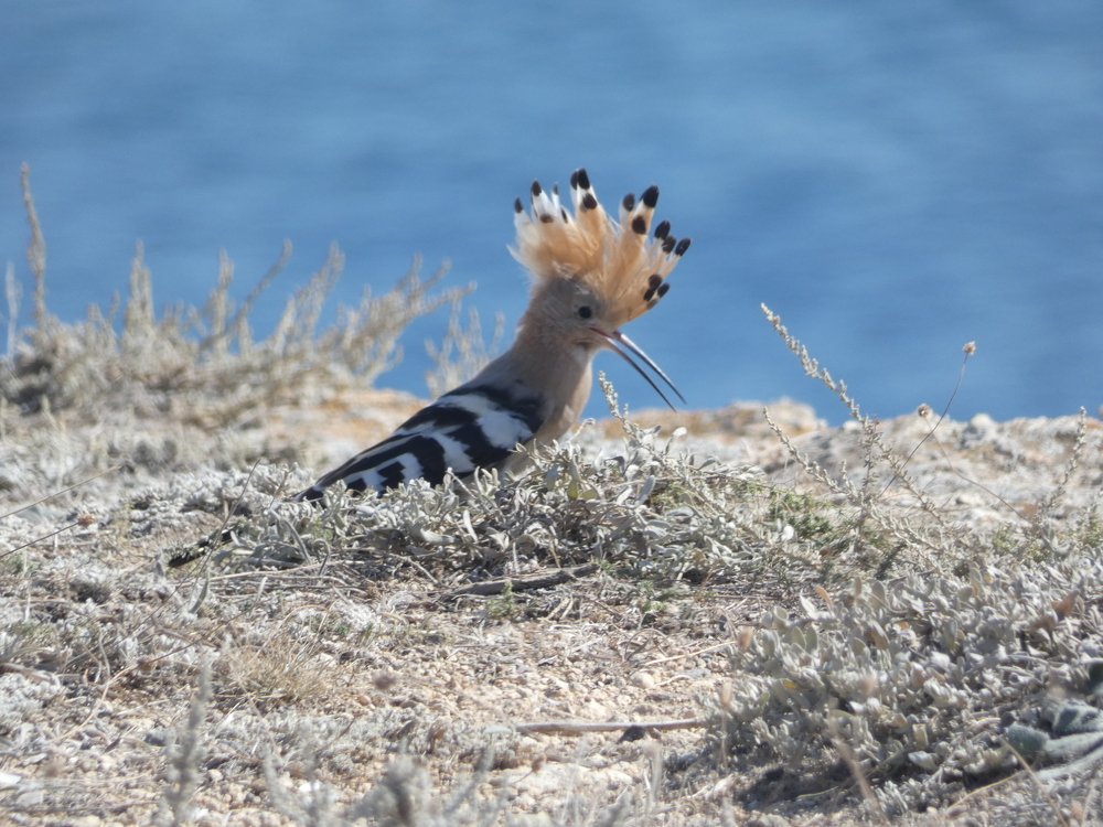 Photograph by Шитова Ольга