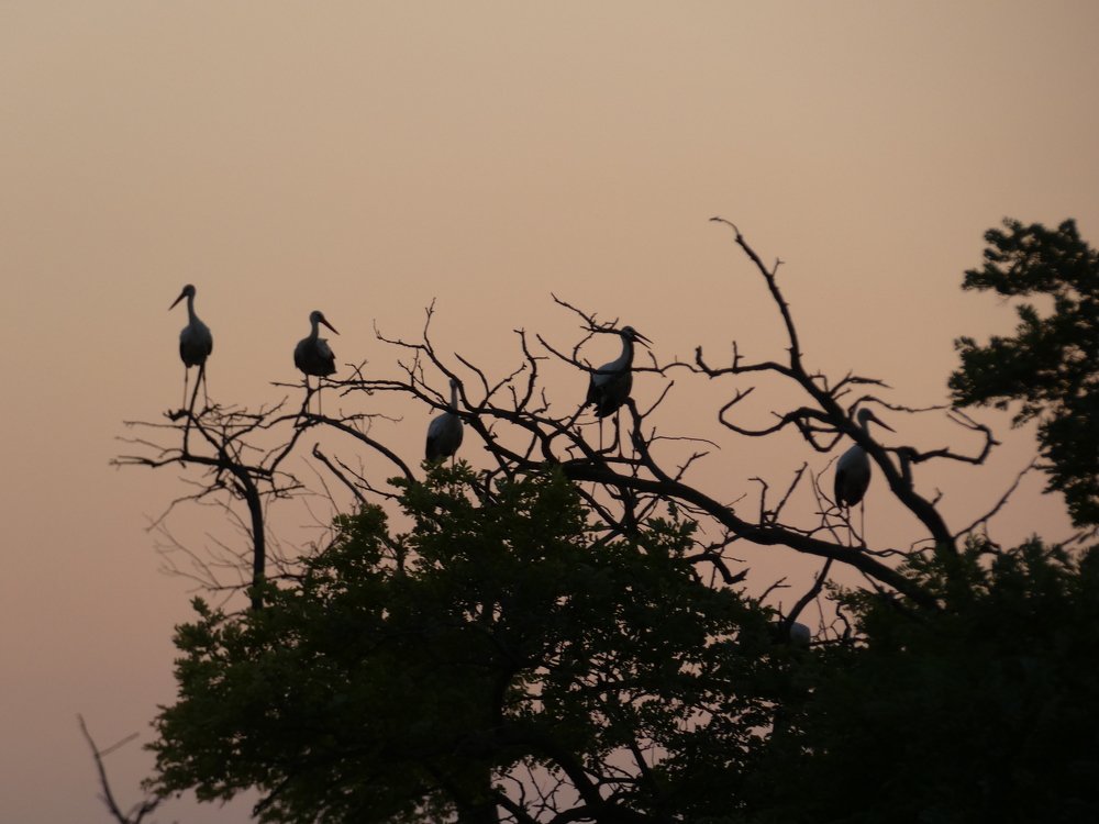 Photograph by Шитова Ольга