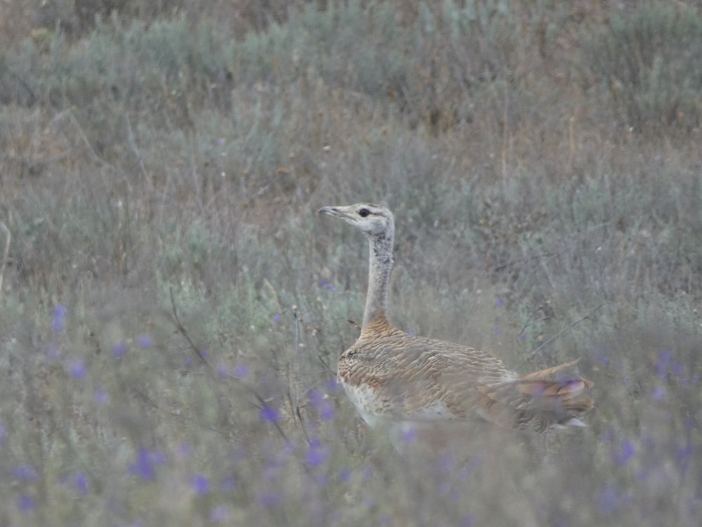 Photograph by Шитова Ольга