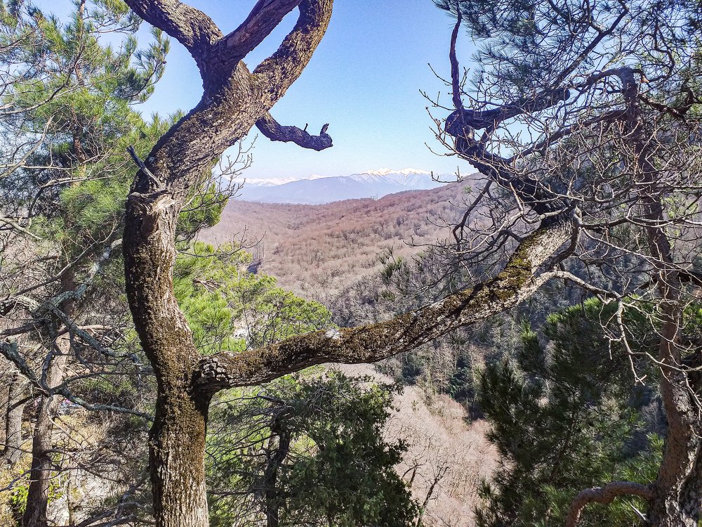 Photograph by Александр Кириков