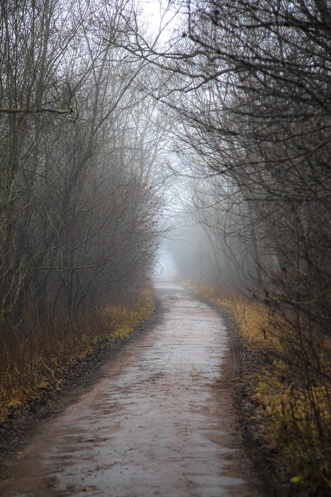 Photograph by Александр Игнатьев