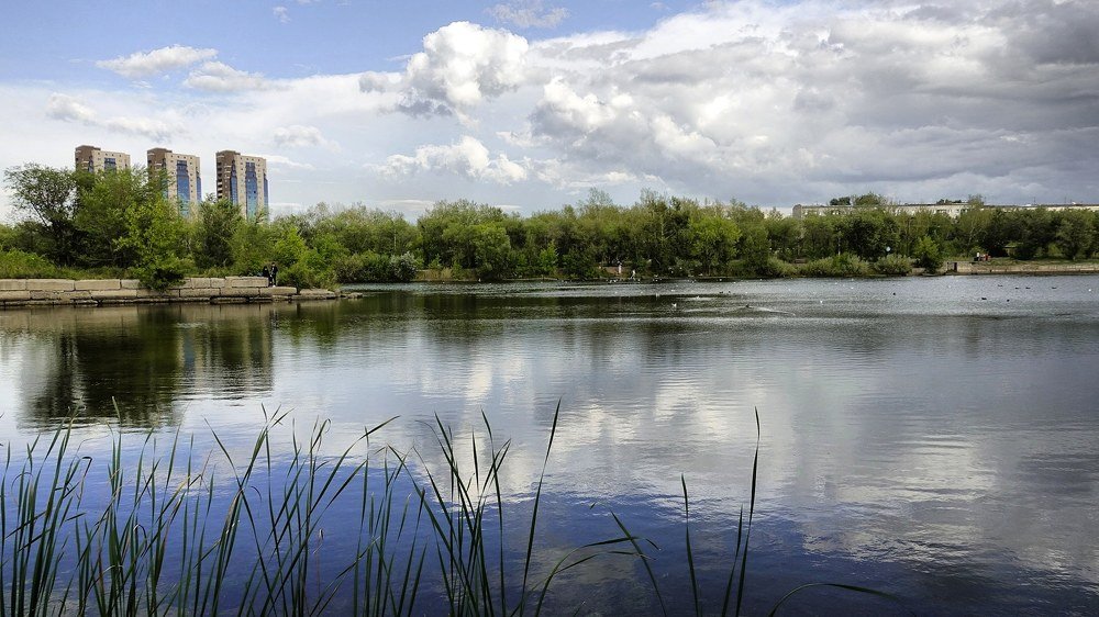 Фотография автора Александр Комаров