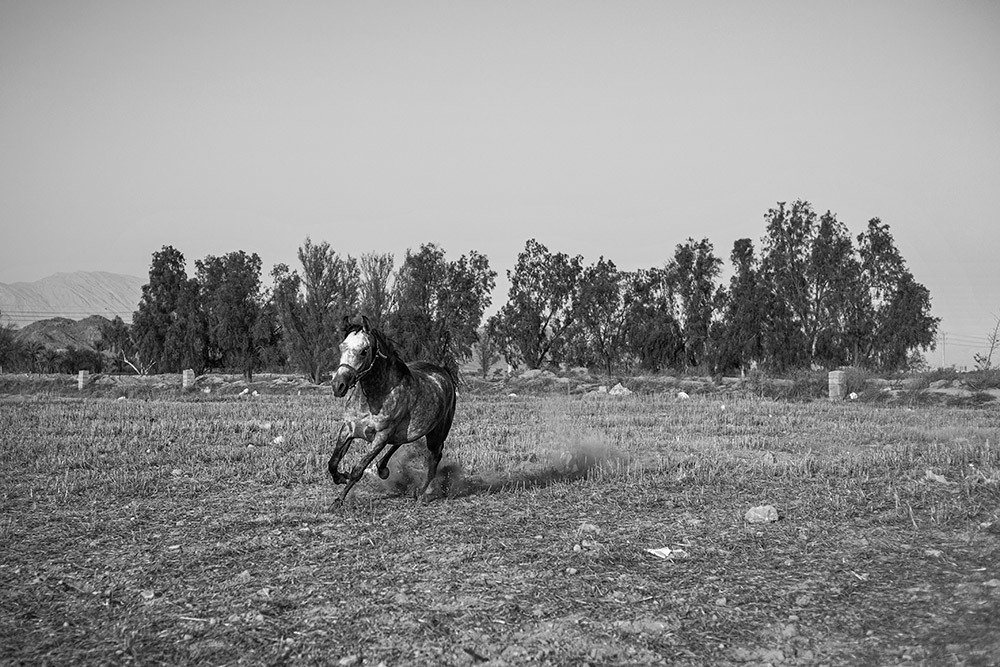 Фотография автора Ebrahim Rahiminezhad