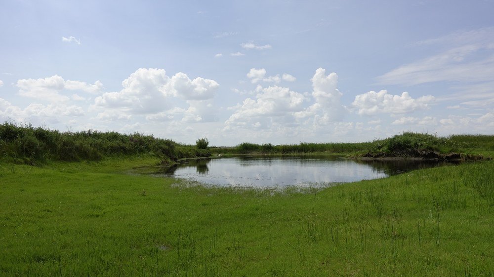 Фотография автора Александр Комаров