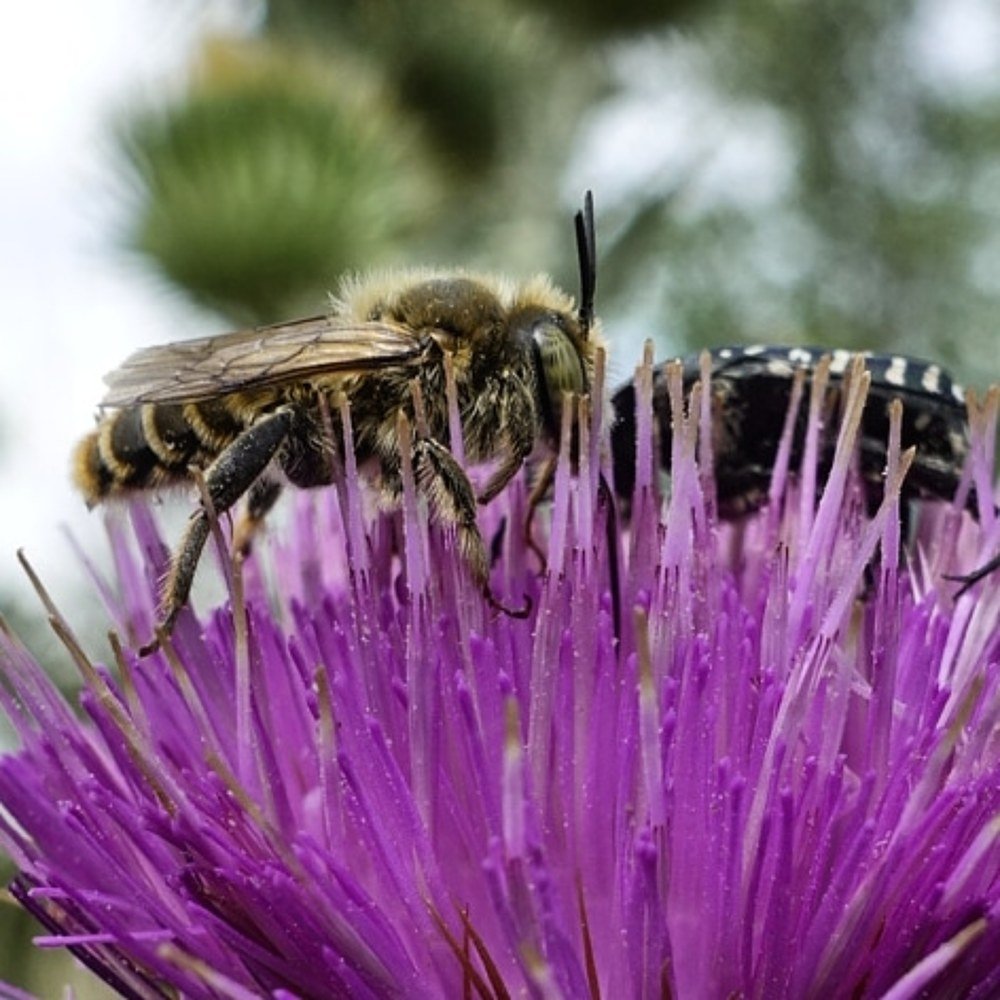 Фотография автора Александр Комаров