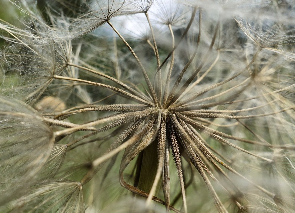 Фотография автора Александр Комаров