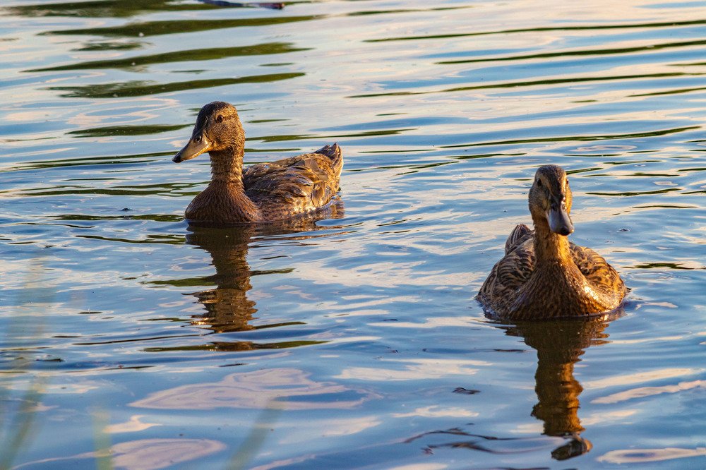 Photograph by Александр Данилов