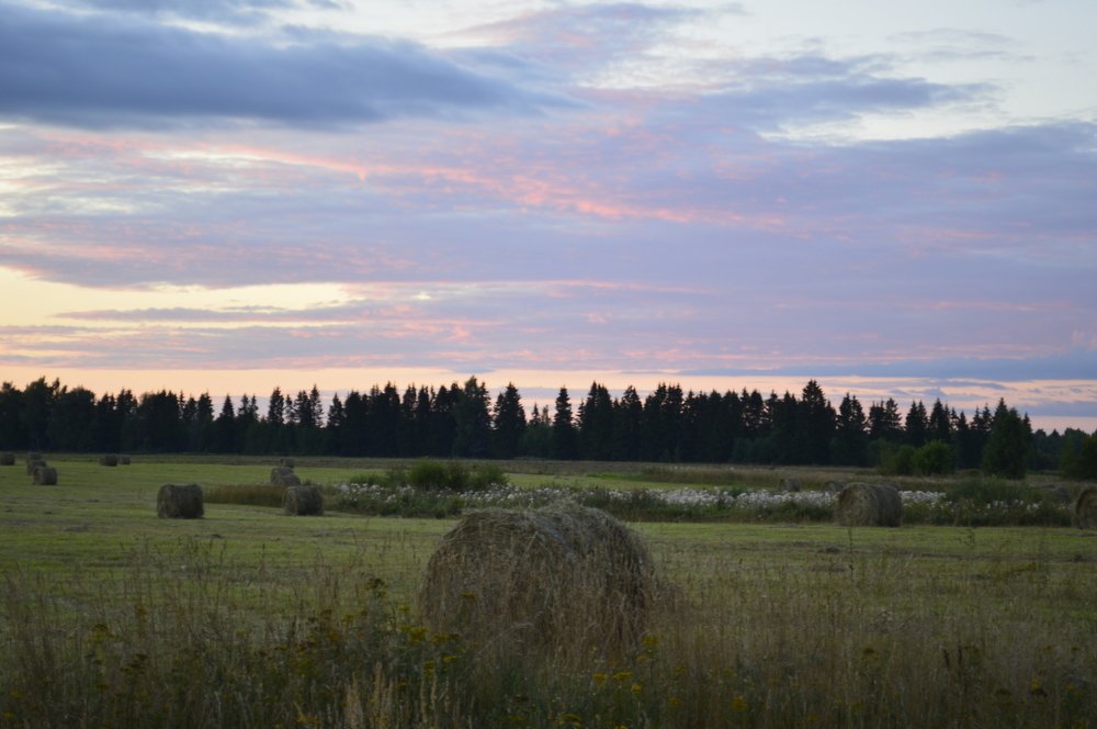 Photograph by Юлия Карпова