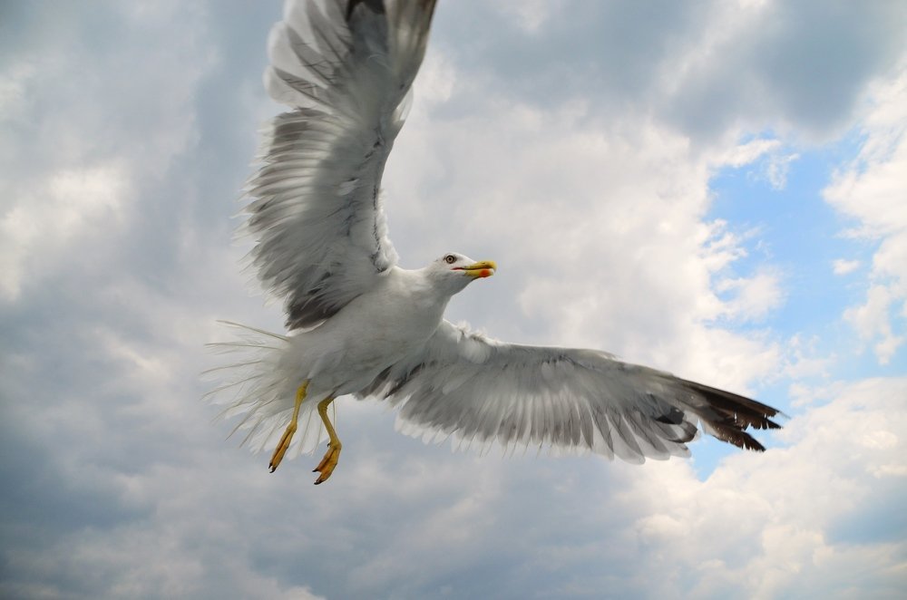 Photograph by Galina Baranovskaja