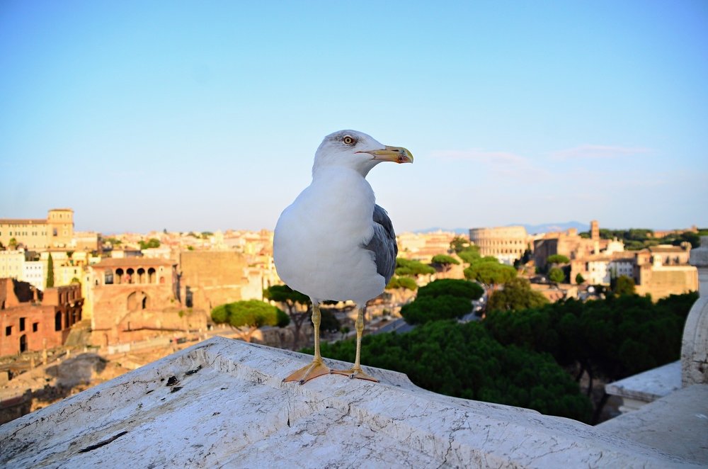 Photograph by Galina Baranovskaja