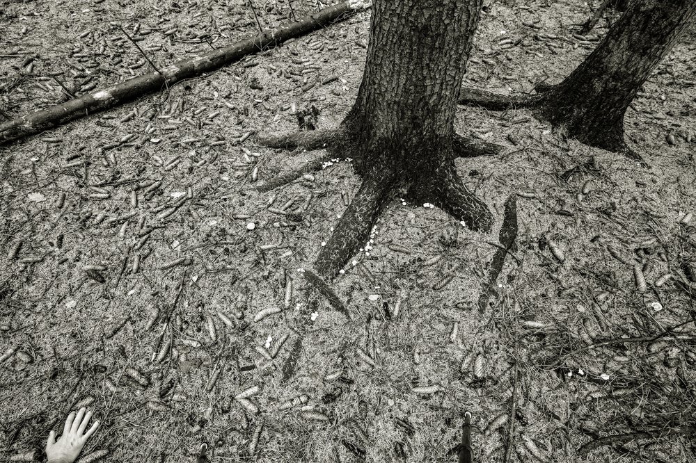 my finger in the pie