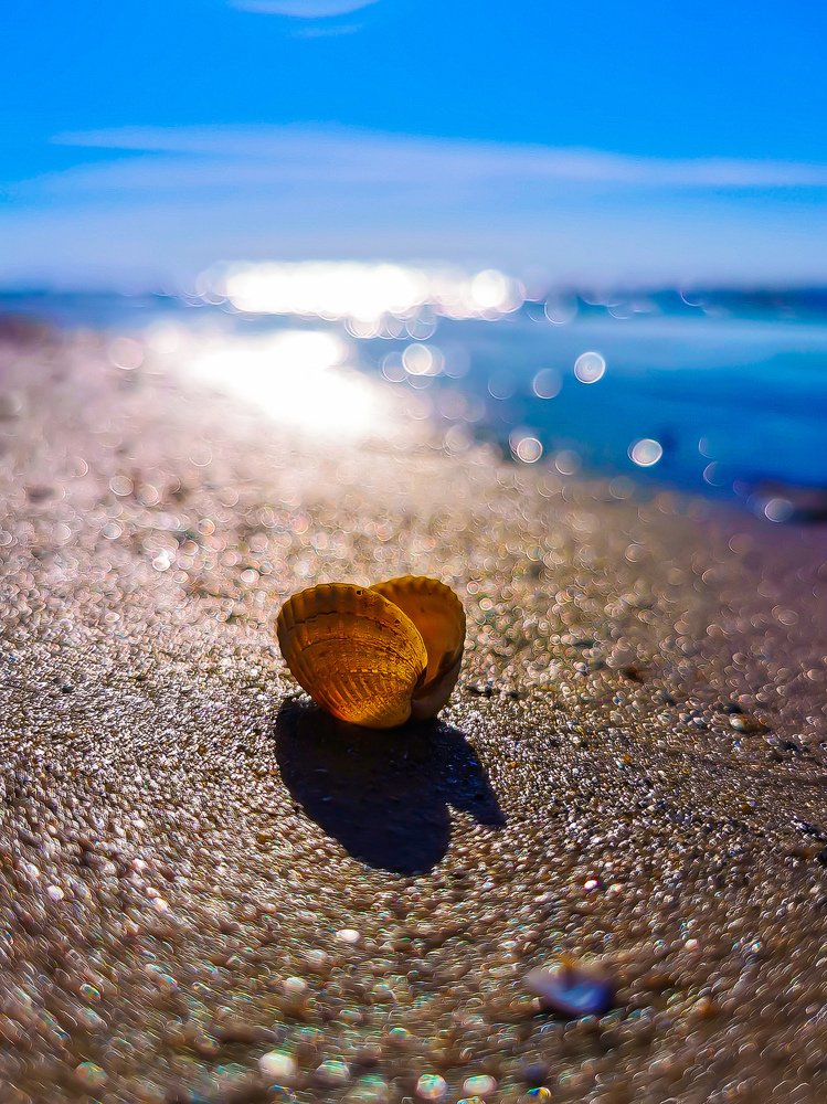 Фотография автора Дмитрий Лебедь