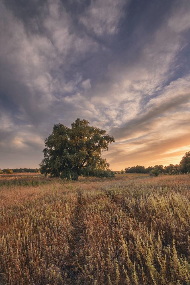 Фотография автора Игорь Баранов