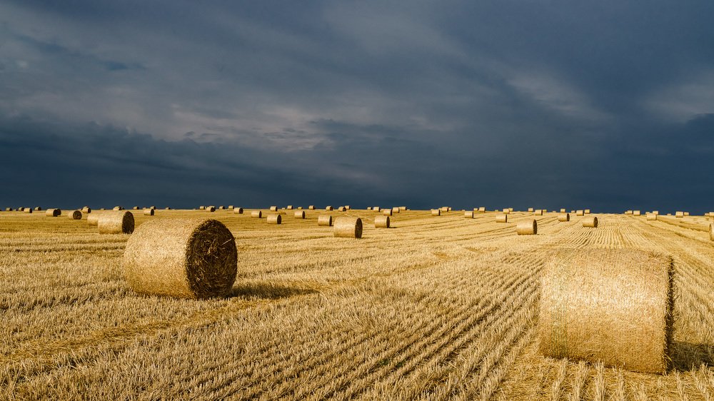 За окнами август...