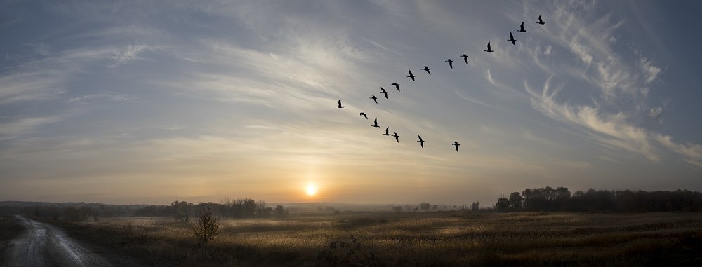 Photograph by Валерий Черняк