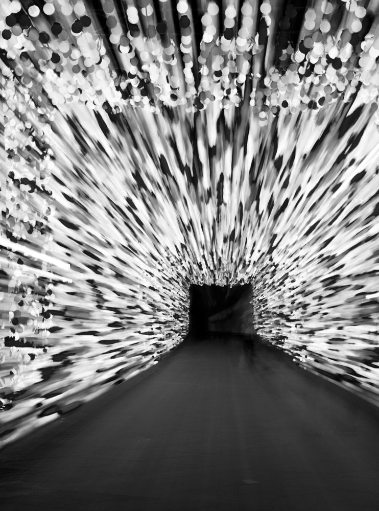 Photograph by Farshad Yazdankhah