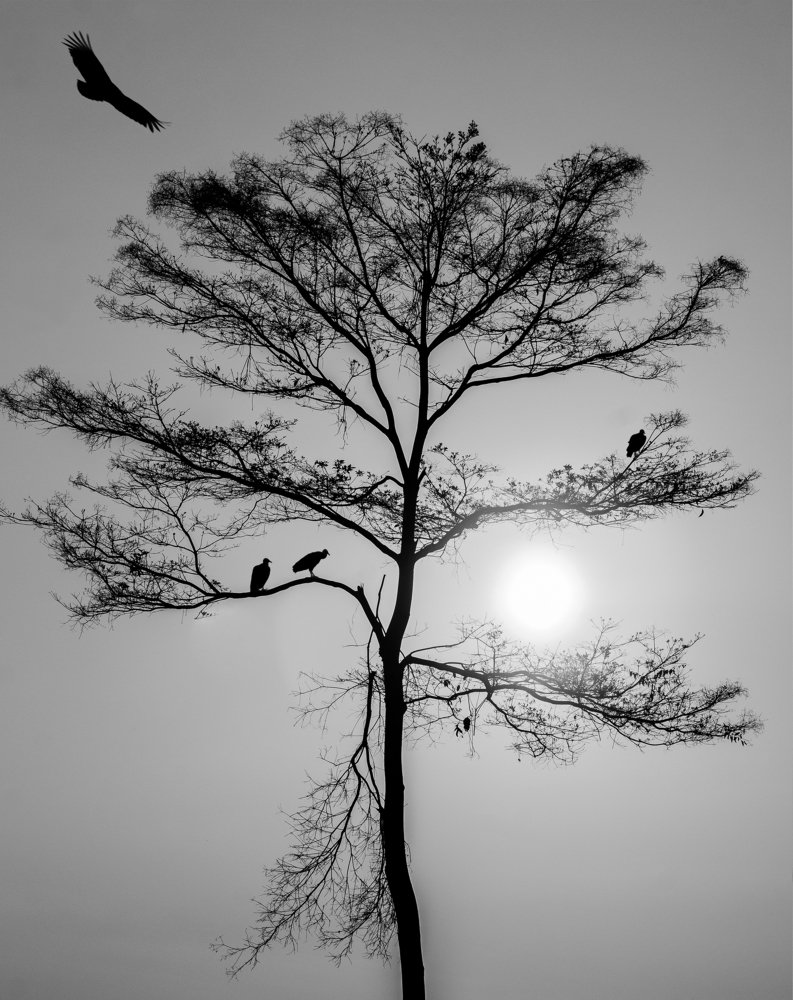 Photograph by Jesus Alvarenga