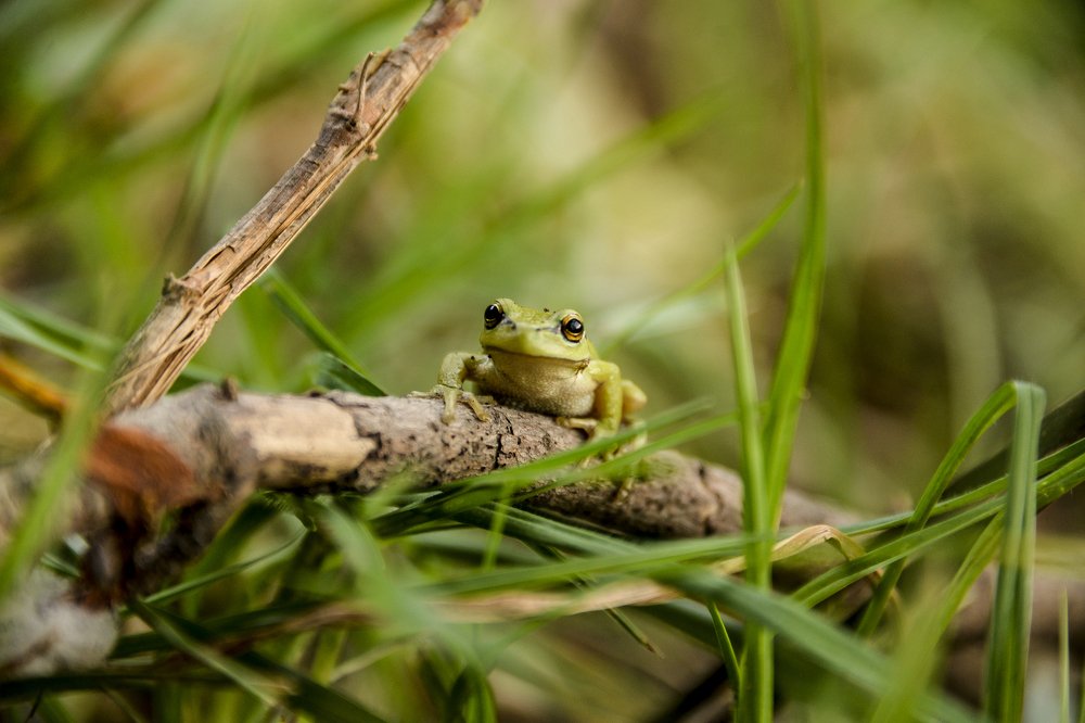 Photograph by Juan Sebastian