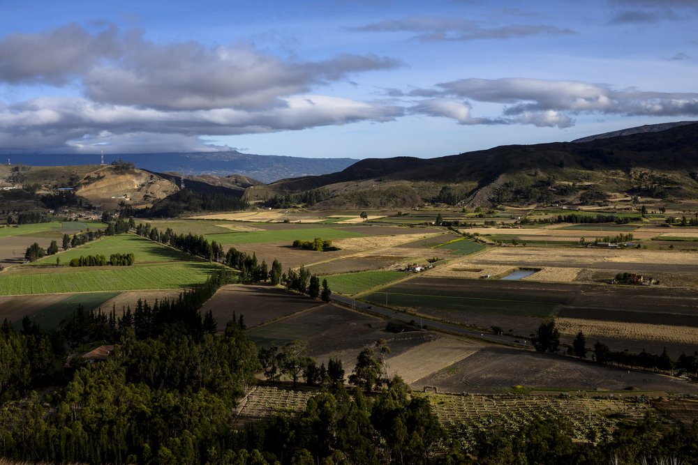 Photograph by Juan Sebastian