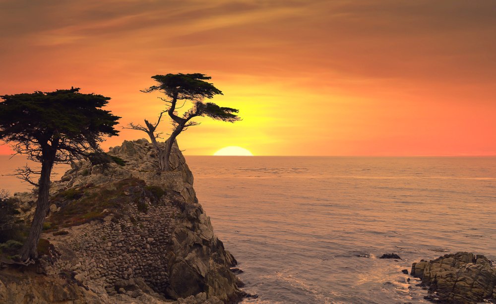 Photograph by Yana Rybakov