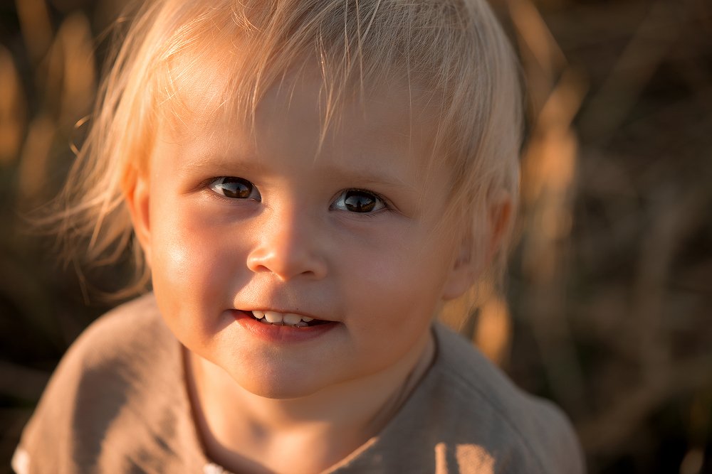 Закат в поле