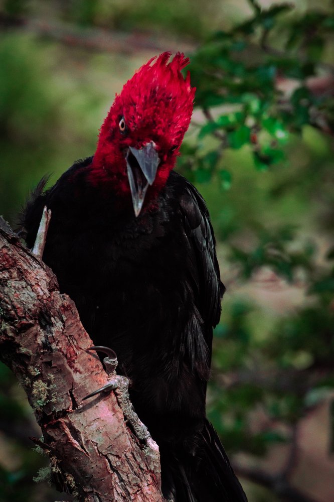 Photograph by Hinojosa Pablo