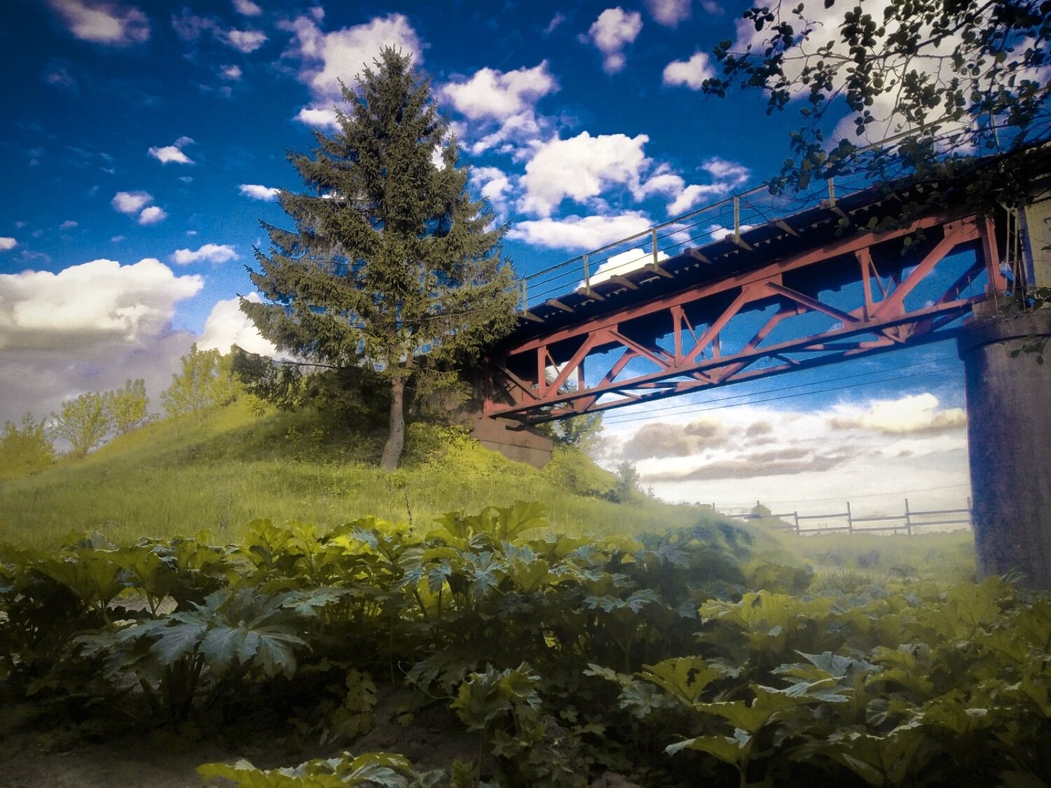 Photo #4880168
