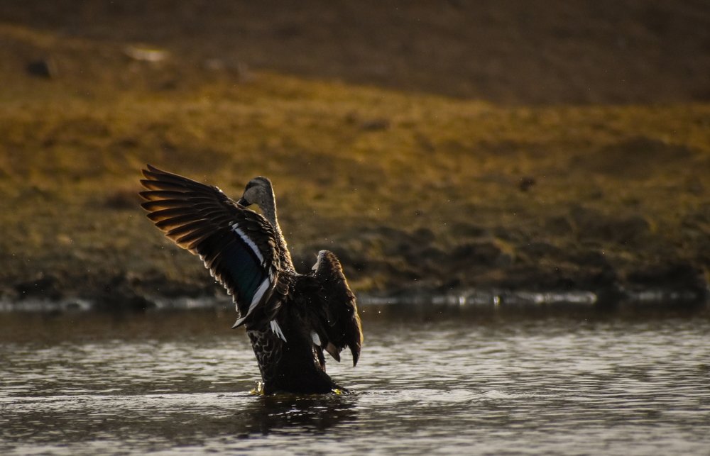 Photograph by Devang Soni