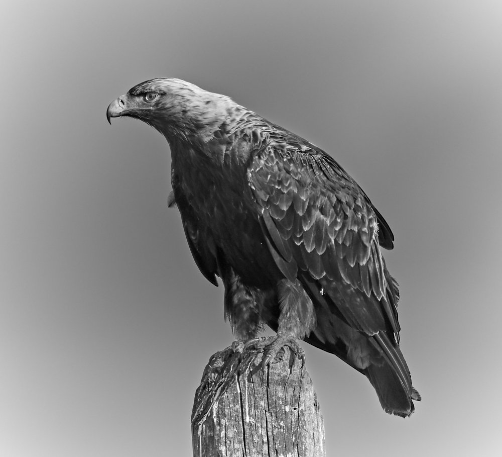 Photograph by Vasilii Medvedev