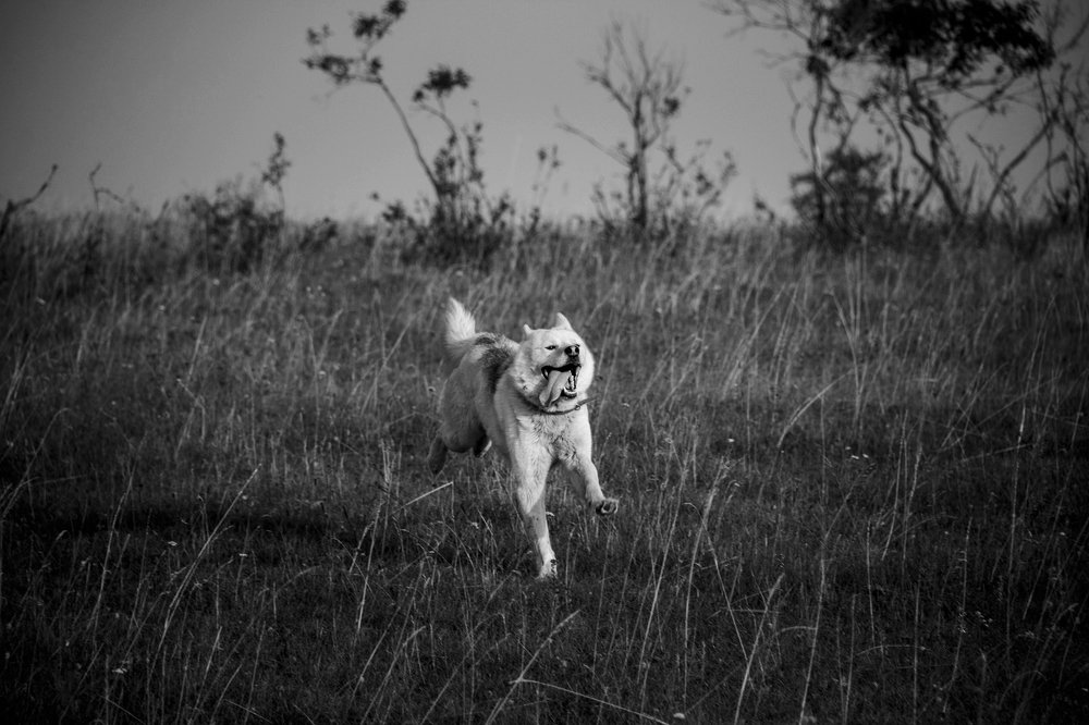 Photograph by Юлия Ломаева