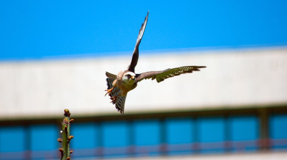 Photograph by Роман Приходько