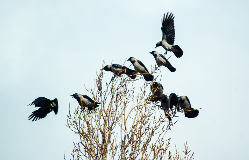 Photograph by Роман Приходько