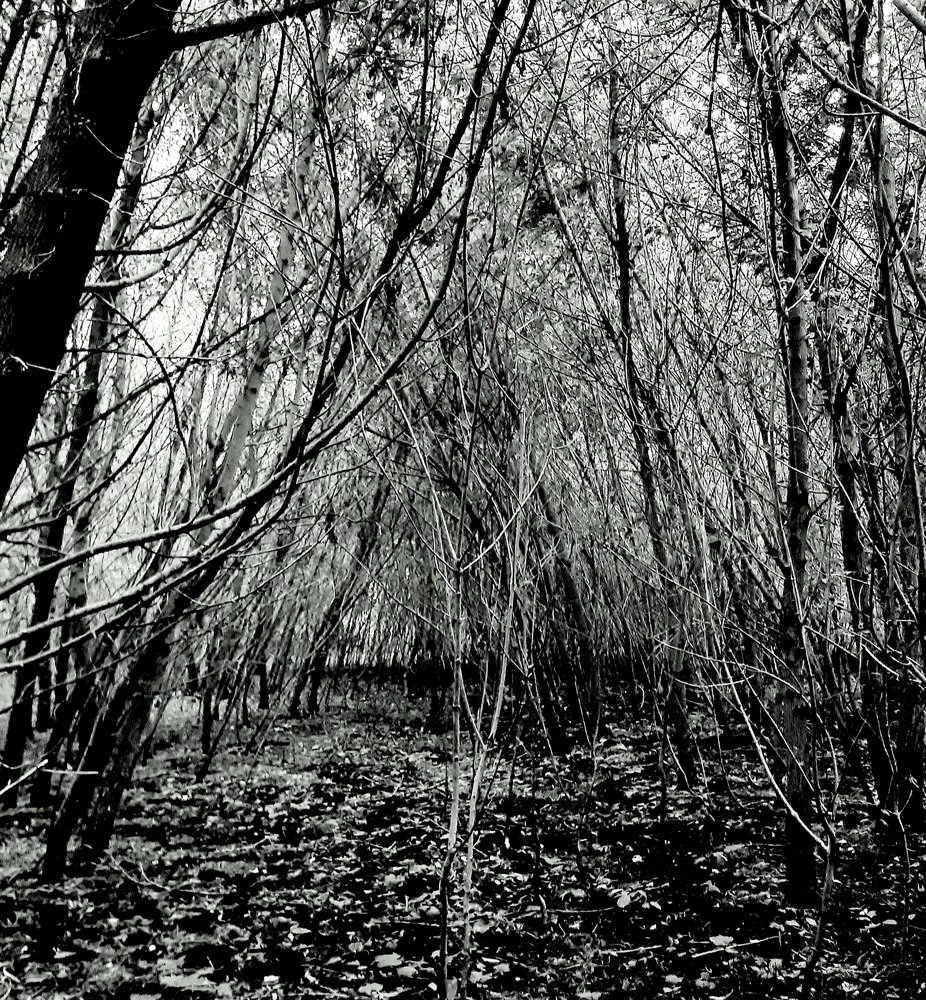 Photograph by Николай Филоненко