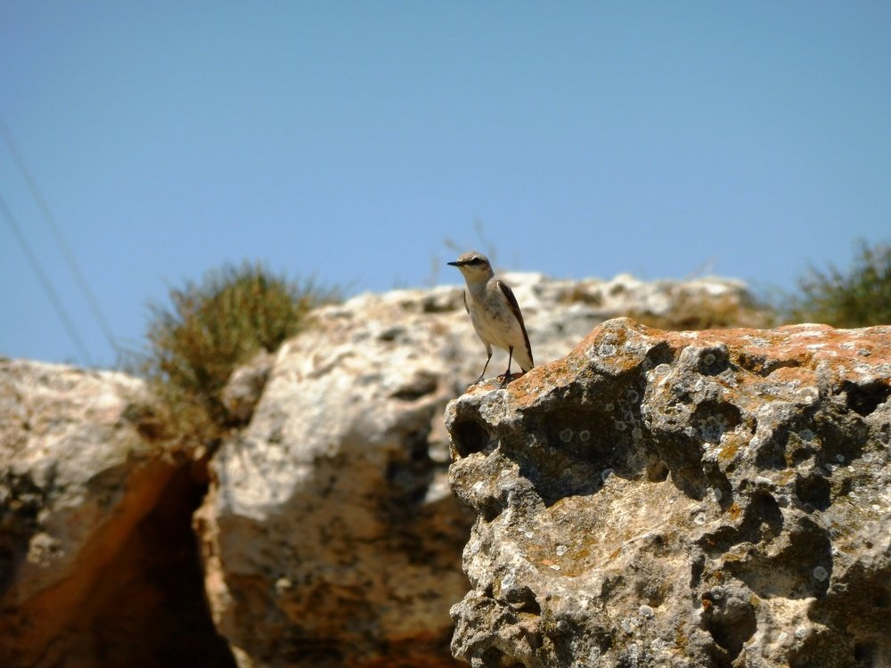 Photograph by Елена Коробкина