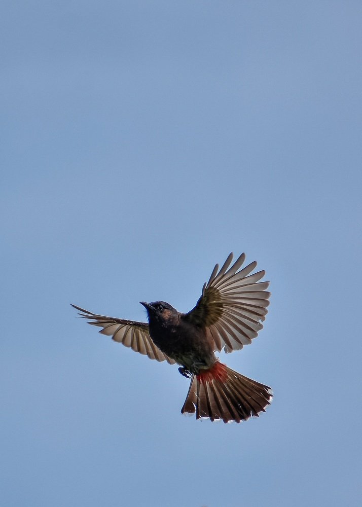 Photograph by DEEP SARKAR